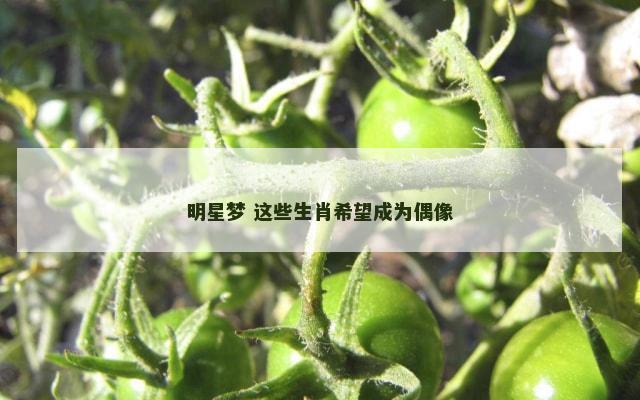 明星梦 这些生肖希望成为偶像