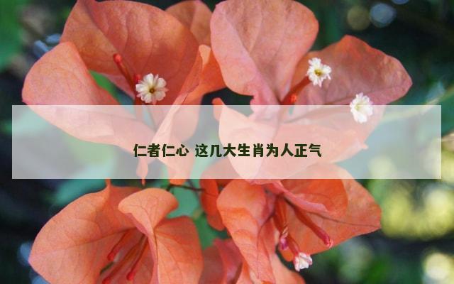 仁者仁心 这几大生肖为人正气