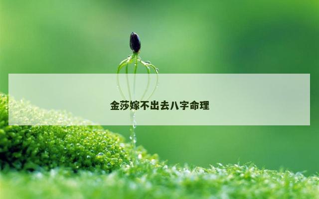 金莎嫁不出去八字命理