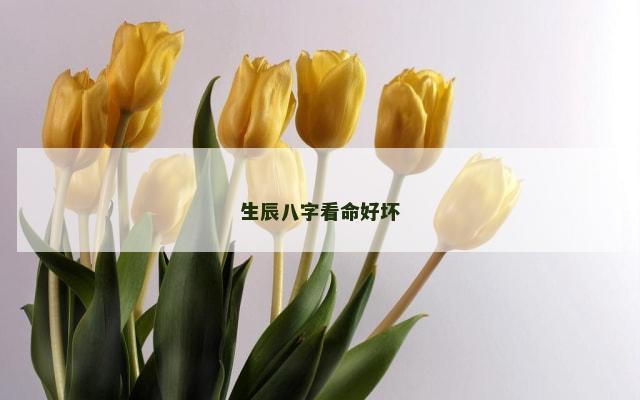 生辰八字看命好坏