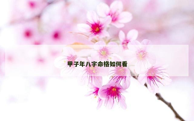 甲子年八字命格如何看
