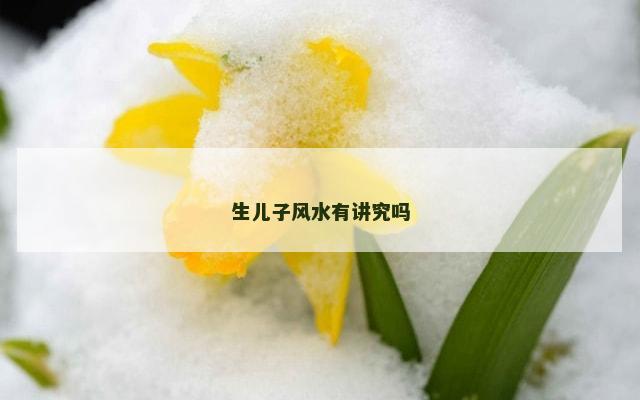 生儿子风水有讲究吗