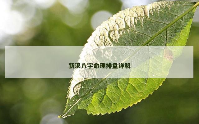 新浪八字命理排盘详解