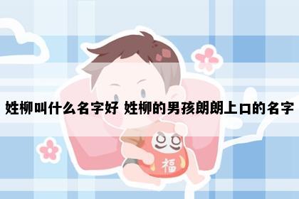 姓柳叫什么名字好 姓柳的男孩朗朗上口的名字