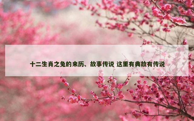 十二生肖之兔的来历、故事传说 这里有典故有传说