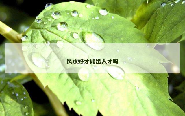 风水好才能出人才吗