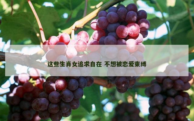 这些生肖女追求自在 不想被恋爱束缚