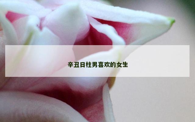 辛丑日柱男喜欢的女生