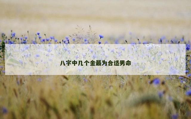 八字中几个金最为合适男命