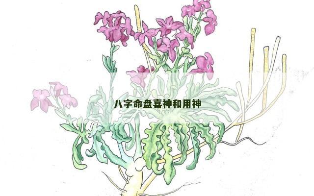 八字命盘喜神和用神