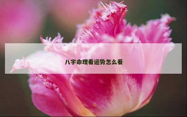 八字命理看运势怎么看