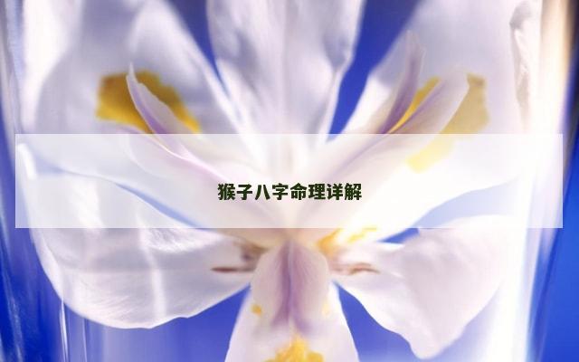 猴子八字命理详解