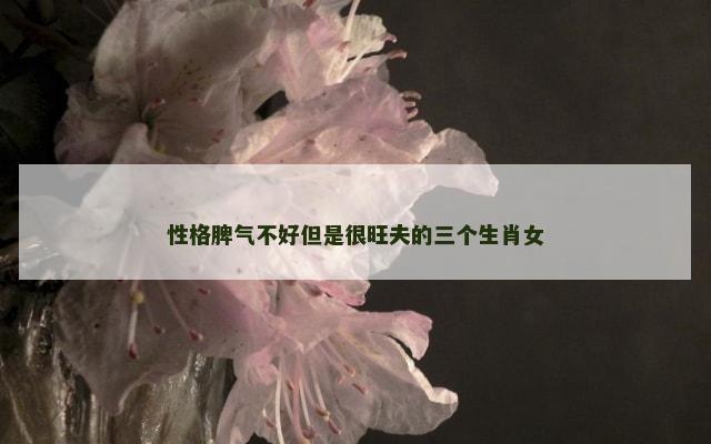 性格脾气不好但是很旺夫的三个生肖女