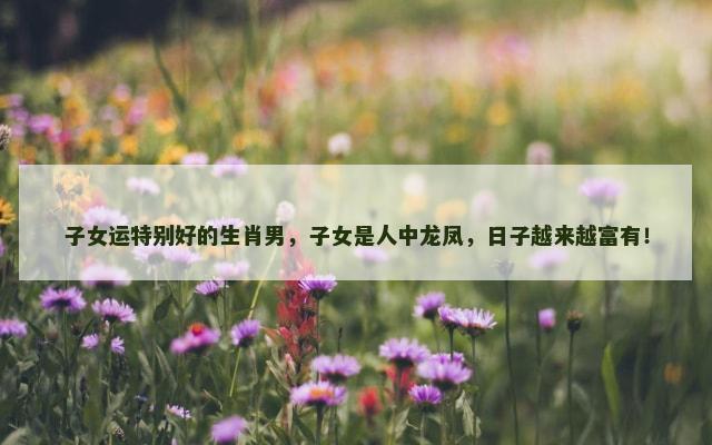 子女运特别好的生肖男，子女是人中龙凤，日子越来越富有！