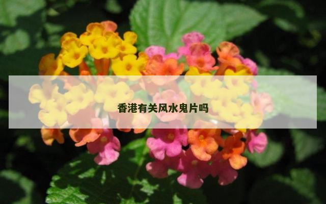香港有关风水鬼片吗