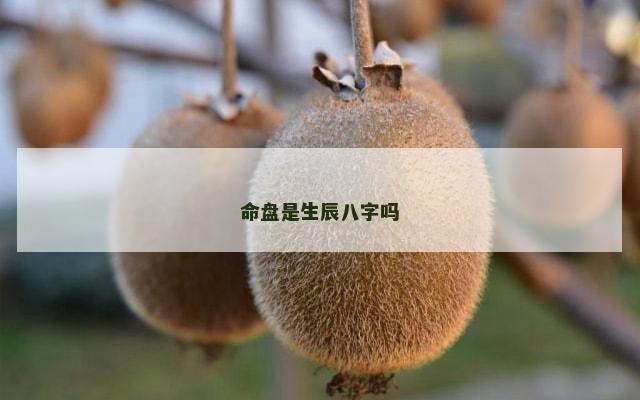 命盘是生辰八字吗