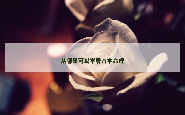 从哪里可以学看八字命理