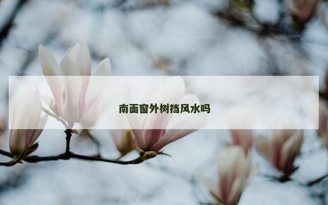 南面窗外树挡风水吗