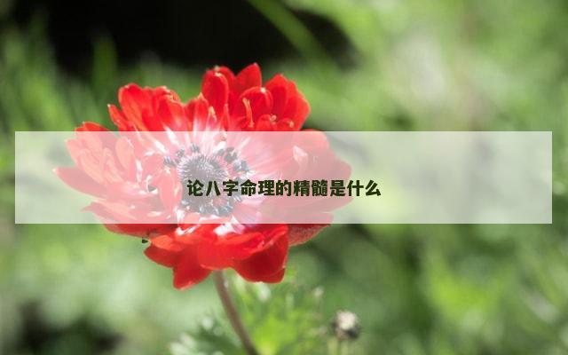论八字命理的精髓是什么