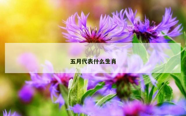 五月代表什么生肖