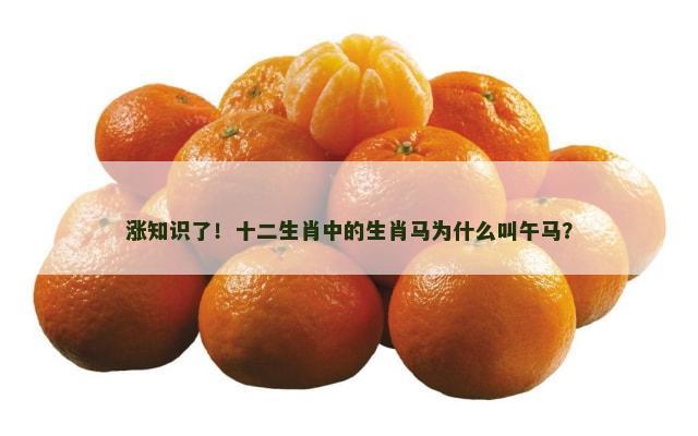 涨知识了！十二生肖中的生肖马为什么叫午马？