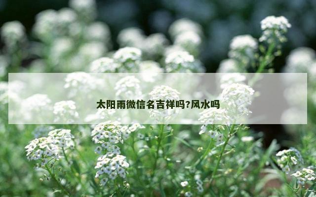 太阳雨微信名吉祥吗?风水吗