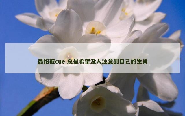 最怕被cue 总是希望没人注意到自己的生肖