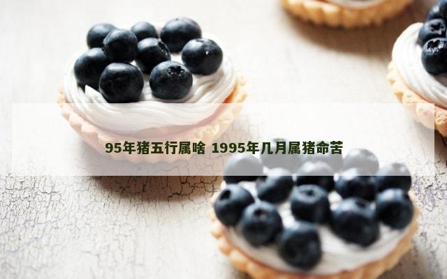 95年猪五行属啥 1995年几月属猪命苦