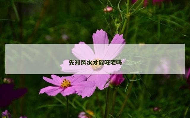 先知风水才能旺宅吗
