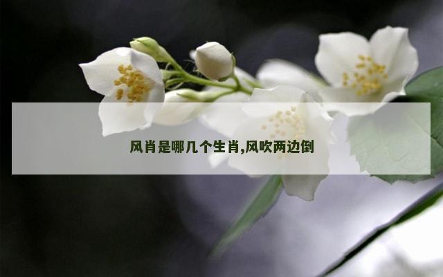 风肖是哪几个生肖,风吹两边倒