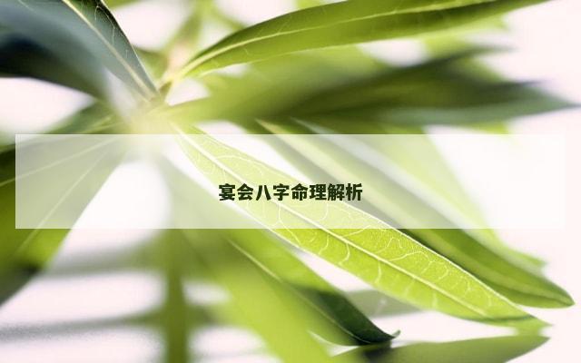 宴会八字命理解析
