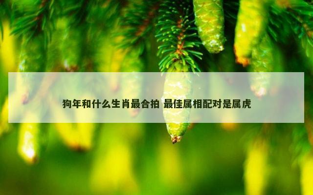 狗年和什么生肖最合拍 最佳属相配对是属虎