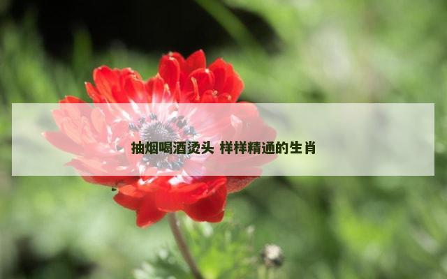 抽烟喝酒烫头 样样精通的生肖