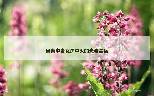 男海中金女炉中火的夫妻命运