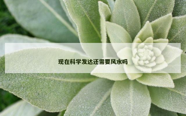 现在科学发达还需要风水吗