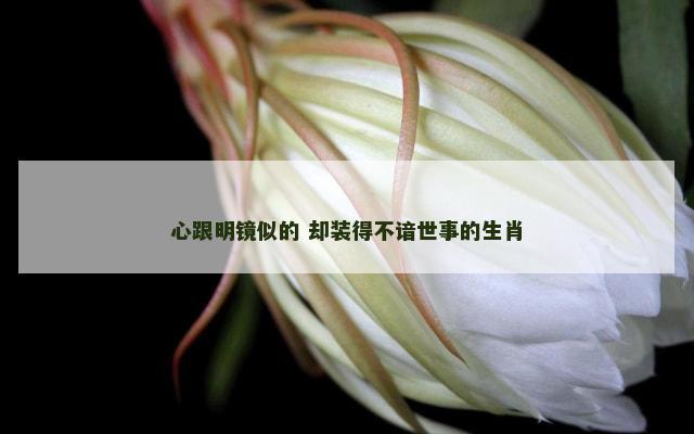 心跟明镜似的 却装得不谙世事的生肖