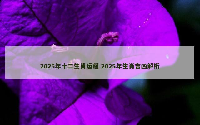 2025年十二生肖运程 2025年生肖吉凶解析