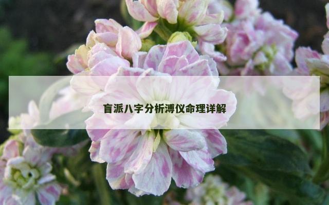 盲派八字分析溥仪命理详解