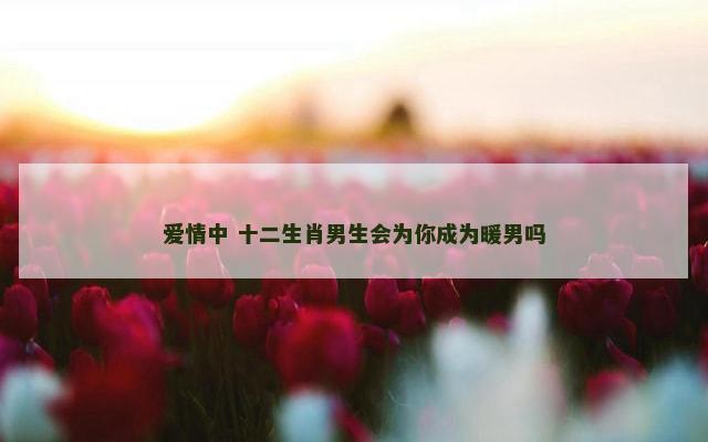 爱情中 十二生肖男生会为你成为暖男吗