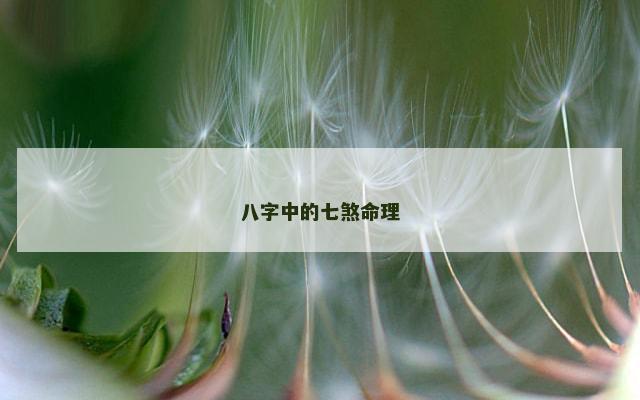 八字中的七煞命理