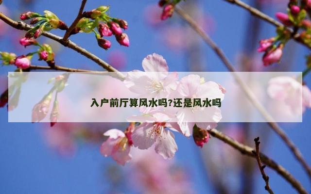 入户前厅算风水吗?还是风水吗