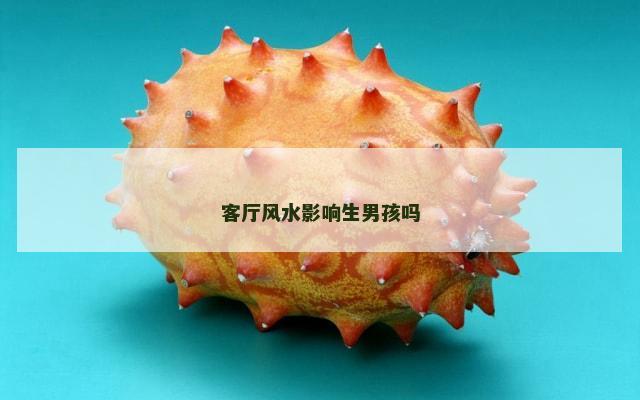 客厅风水影响生男孩吗