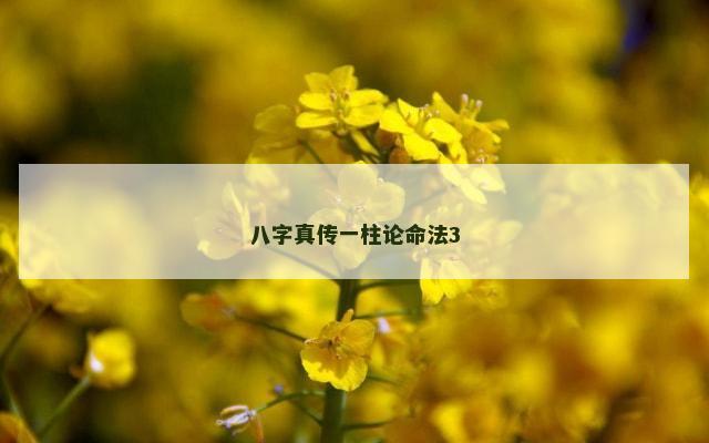 八字真传一柱论命法3
