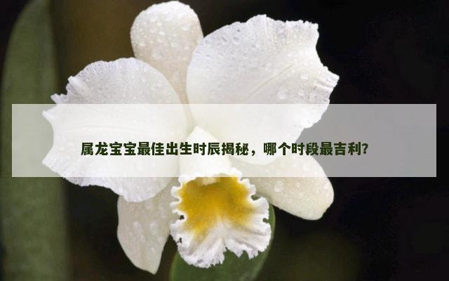 属龙宝宝最佳出生时辰揭秘，哪个时段最吉利？