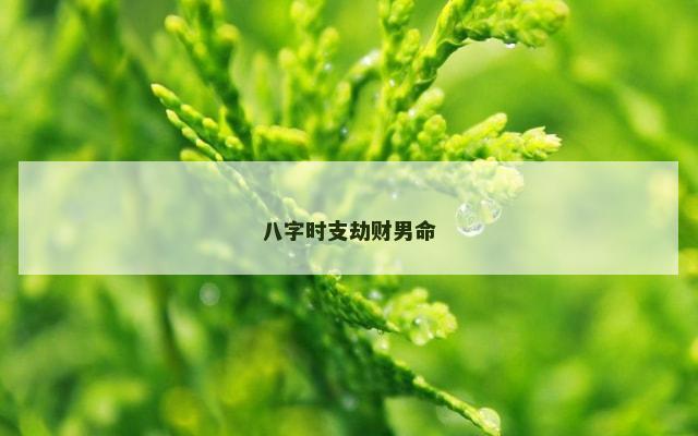 八字时支劫财男命