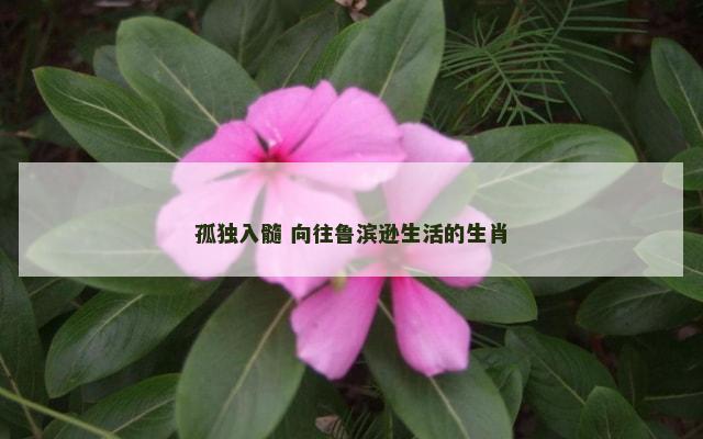 孤独入髓 向往鲁滨逊生活的生肖
