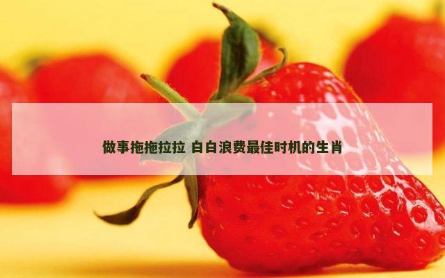 做事拖拖拉拉 白白浪费最佳时机的生肖