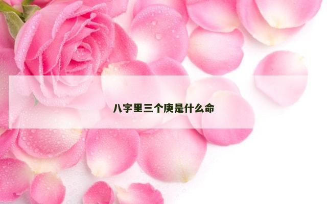 八字里三个庚是什么命