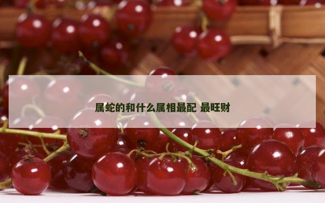 属蛇的和什么属相最配 最旺财