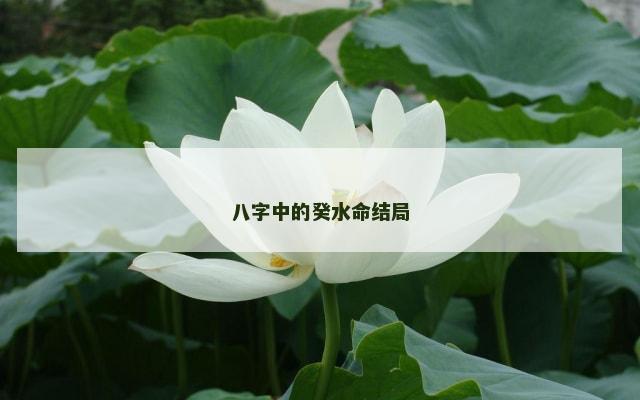 八字中的癸水命结局